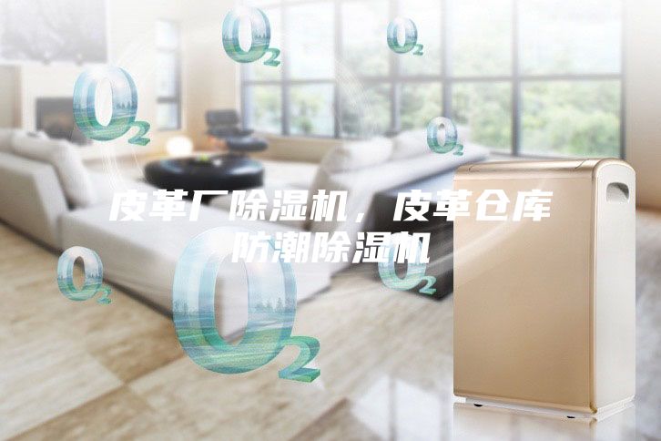 皮革廠除濕機(jī)，皮革倉(cāng)庫(kù)防潮除濕機(jī)