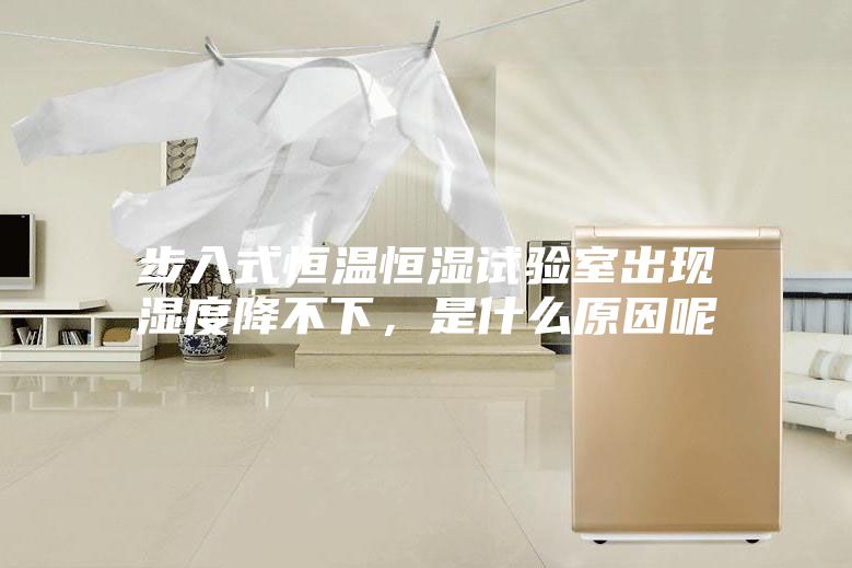 步入式恒溫恒濕試驗室出現濕度降不下，是什么原因呢