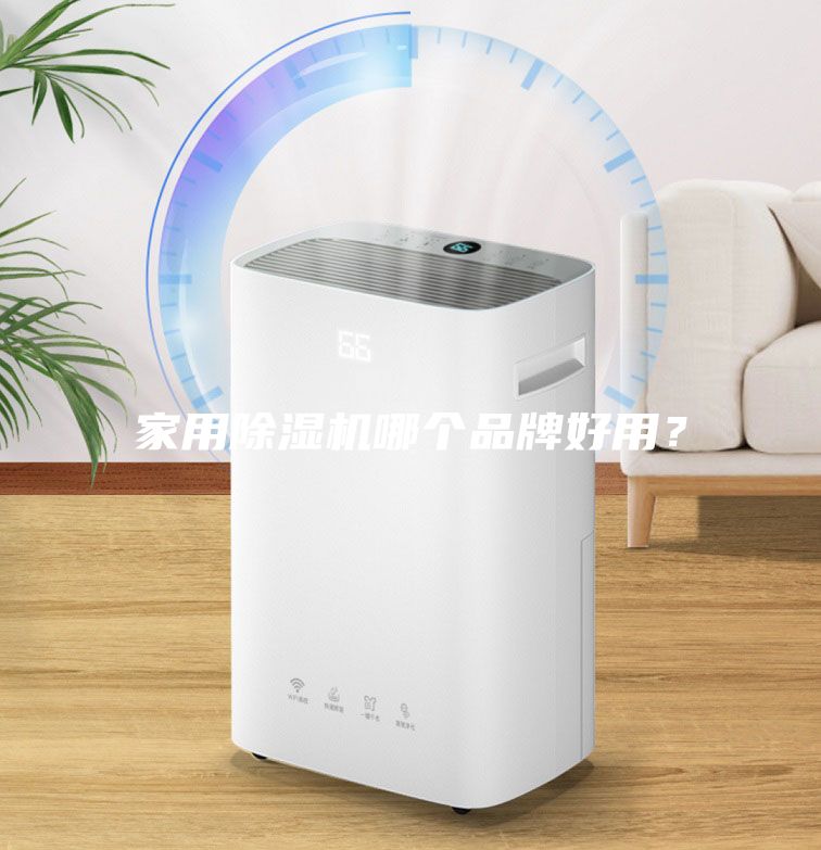 家用除濕機哪個品牌好用？