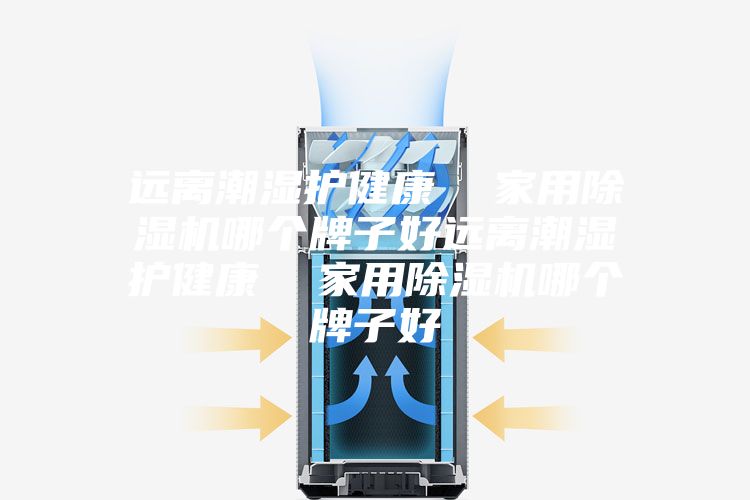遠(yuǎn)離潮濕護(hù)健康  家用除濕機(jī)哪個牌子好遠(yuǎn)離潮濕護(hù)健康  家用除濕機(jī)哪個牌子好
