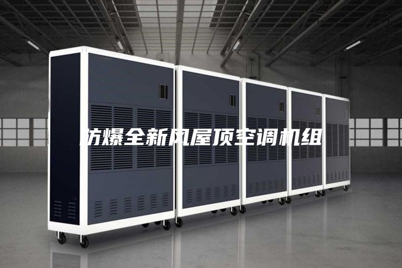 防爆全新風屋頂空調(diào)機組