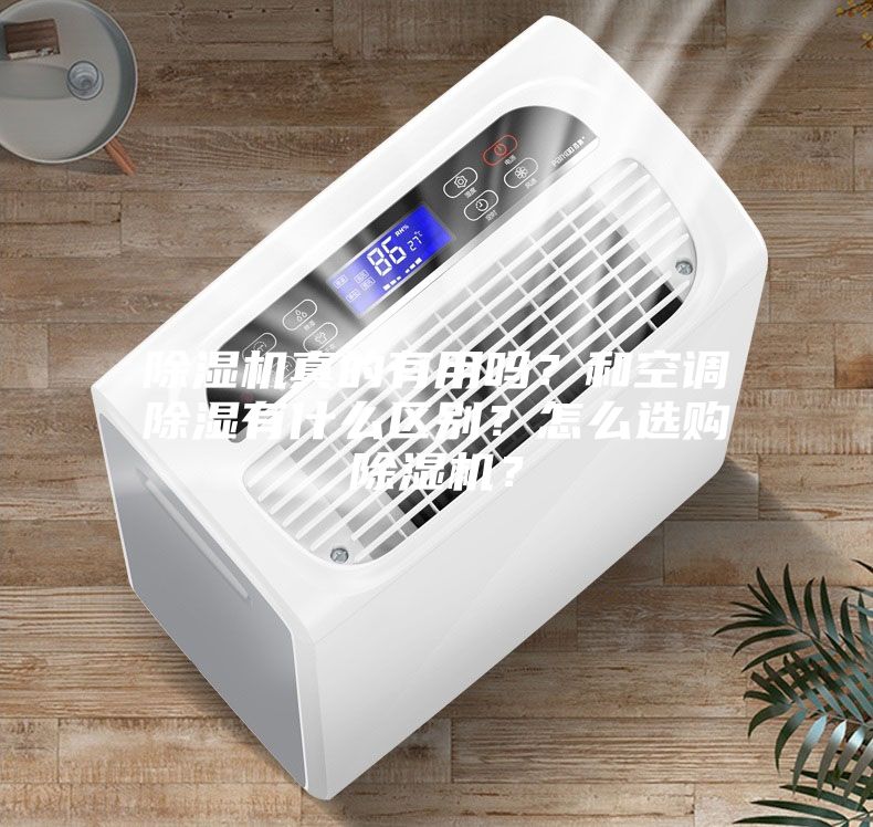 除濕機真的有用嗎？和空調除濕有什么區別？怎么選購除濕機？