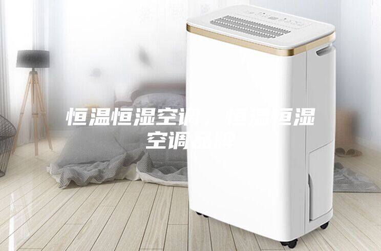 恒溫恒濕空調，恒溫恒濕空調品牌