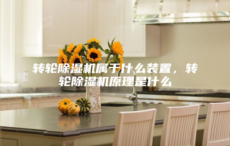 轉(zhuǎn)輪除濕機屬于什么裝置，轉(zhuǎn)輪除濕機原理是什么