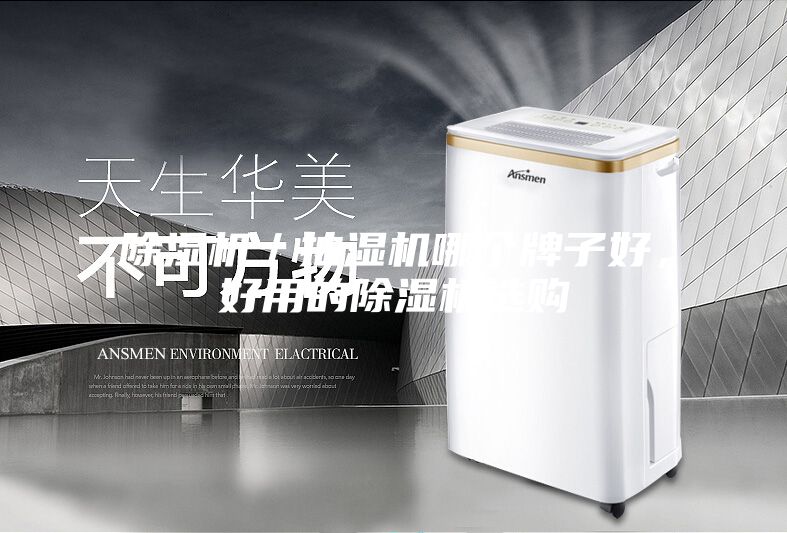 除濕機(jī)／抽濕機(jī)哪個(gè)牌子好，好用的除濕機(jī)選購