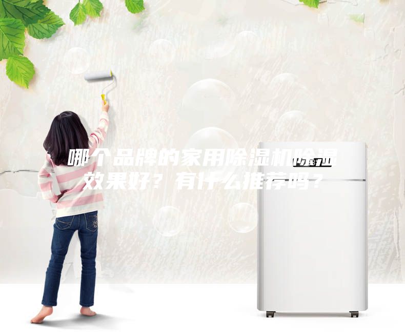 哪個品牌的家用除濕機除濕效果好？有什么推薦嗎？