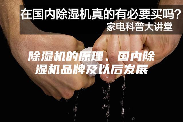 除濕機(jī)的原理、國內(nèi)除濕機(jī)品牌及以后發(fā)展
