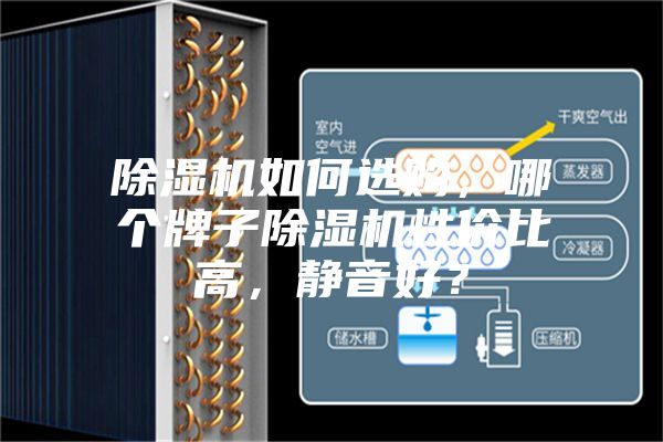 除濕機如何選購，哪個牌子除濕機性價比高，靜音好？
