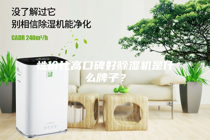 性價(jià)比高口碑好除濕機(jī)是什么牌子？