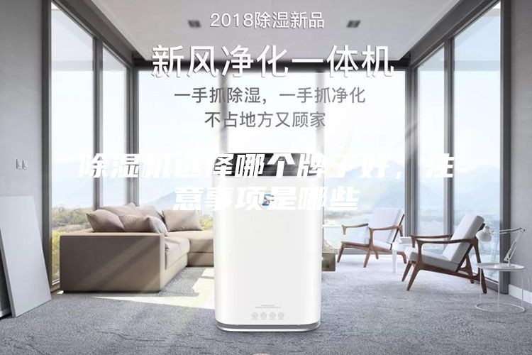 除濕機選擇哪個牌子好，注意事項是哪些