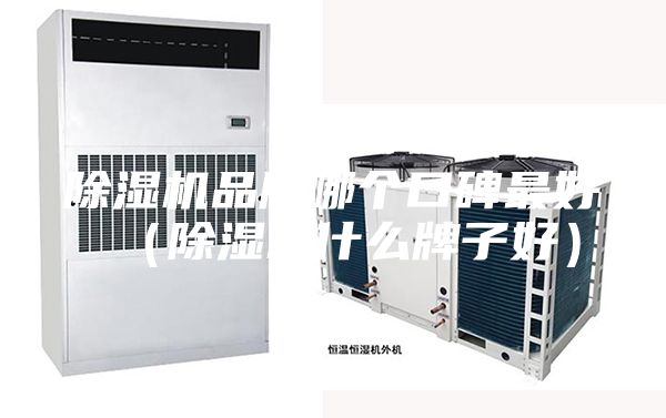 除濕機(jī)品牌哪個口碑最好（除濕機(jī)什么牌子好）