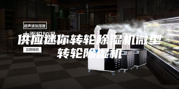 供應(yīng)迷你轉(zhuǎn)輪除濕機(jī)微型轉(zhuǎn)輪除濕機(jī)
