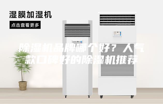 除濕機(jī)品牌哪個(gè)好？人氣款口碑好的除濕機(jī)推薦