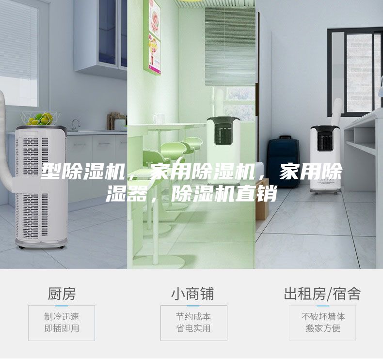 型除濕機(jī)，家用除濕機(jī)，家用除濕器，除濕機(jī)直銷