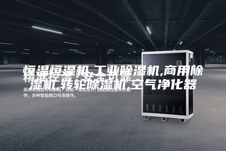 恒溫恒濕機,工業(yè)除濕機,商用除濕機,轉輪除濕機,空氣凈化器
