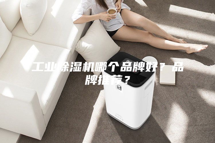 工業(yè)除濕機(jī)哪個品牌好？品牌推薦？