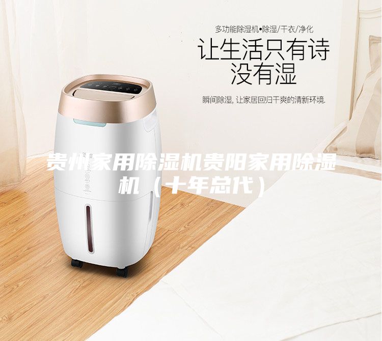 貴州家用除濕機(jī)貴陽家用除濕機(jī)（十年總代）
