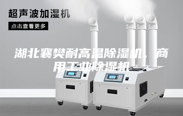 湖北襄樊耐高溫除濕機，商用工業(yè)除濕機