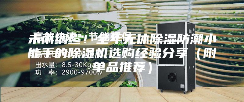 未雨綢繆!全年無(wú)休除濕防潮小能手的除濕機(jī)選購(gòu)經(jīng)驗(yàn)分享(附單品推薦)