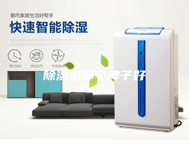 除濕機(jī)那個牌子好