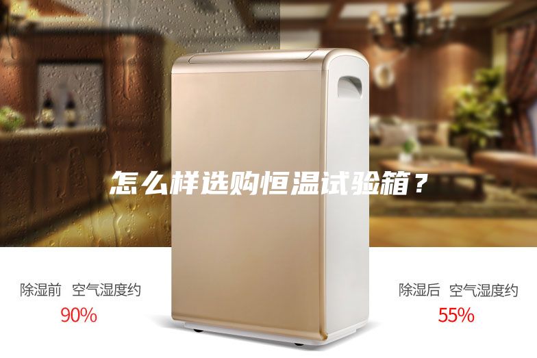 怎么樣選購恒溫試驗箱？