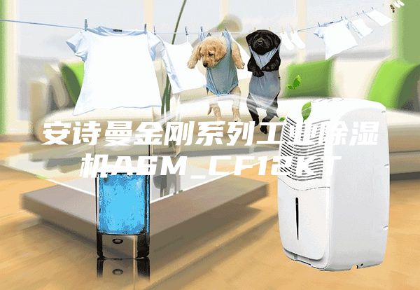 安詩(shī)曼金剛系列工業(yè)除濕機(jī)ASM_CF12KT