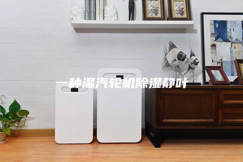 一種濕汽輪機除濕靜葉