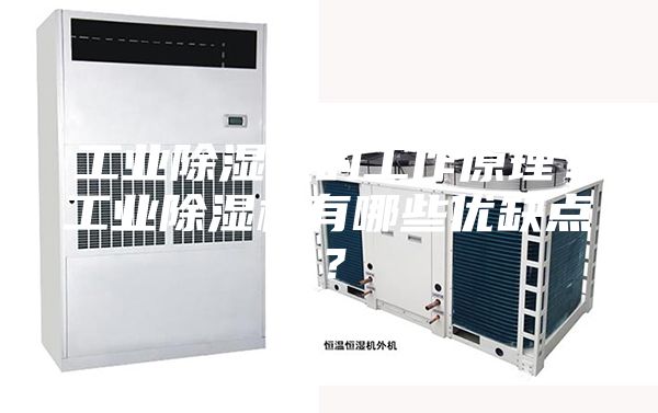 工業(yè)除濕機(jī)的工作原理?工業(yè)除濕機(jī)有哪些優(yōu)缺點(diǎn)?