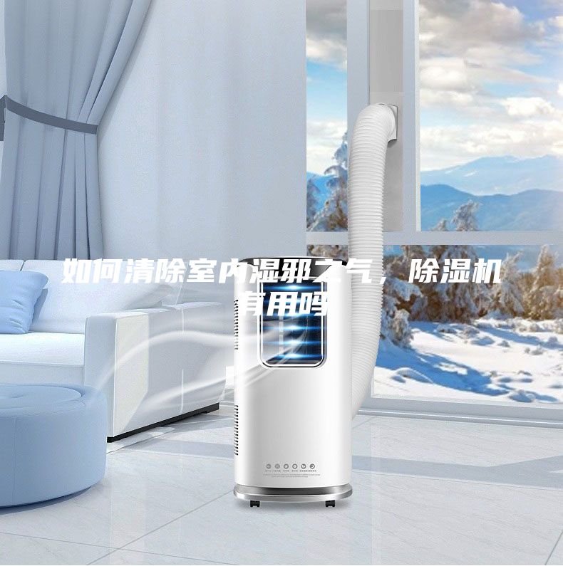 如何清除室內(nèi)濕邪之氣，除濕機(jī)有用嗎