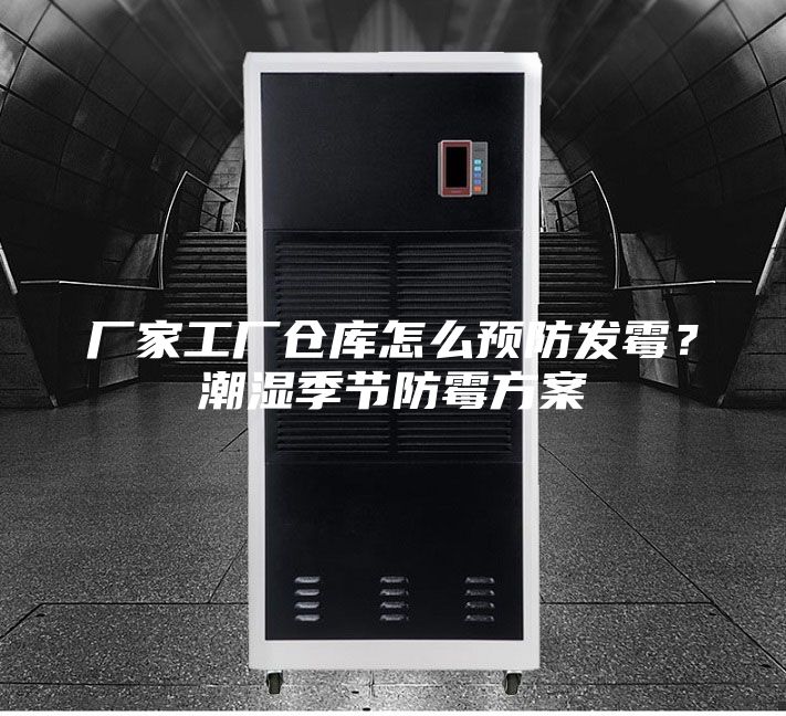 廠家工廠倉庫怎么預防發(fā)霉？潮濕季節(jié)防霉方案