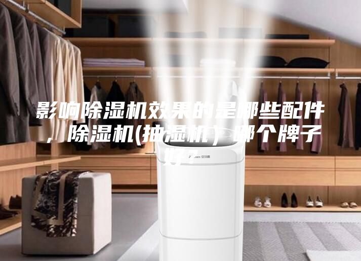 影響除濕機效果的是哪些配件，除濕機(抽濕機）哪個牌子好？
