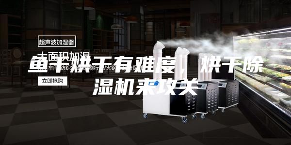 魚干烘干有難度，烘干除濕機來攻關