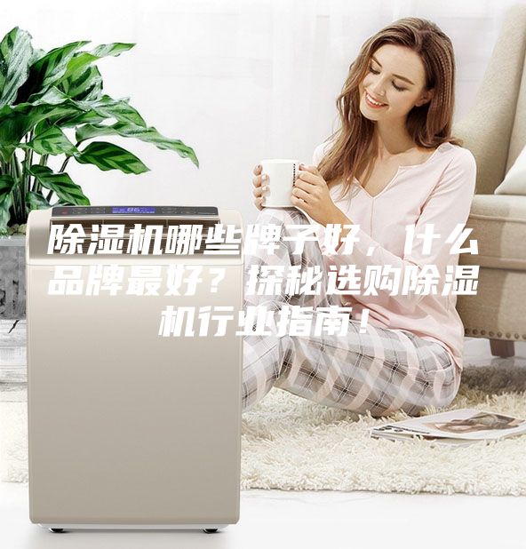 除濕機(jī)哪些牌子好，什么品牌最好？探秘選購除濕機(jī)行業(yè)指南！
