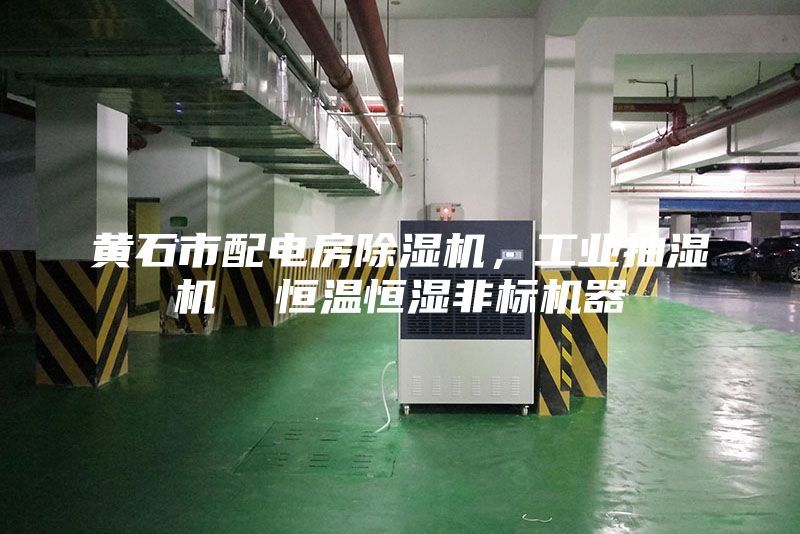 黃石市配電房除濕機(jī)，工業(yè)抽濕機(jī)  恒溫恒濕非標(biāo)機(jī)器
