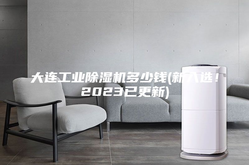 大連工業除濕機多少錢(新入選！2023已更新)