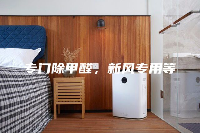 專門除甲醛，新風專用等