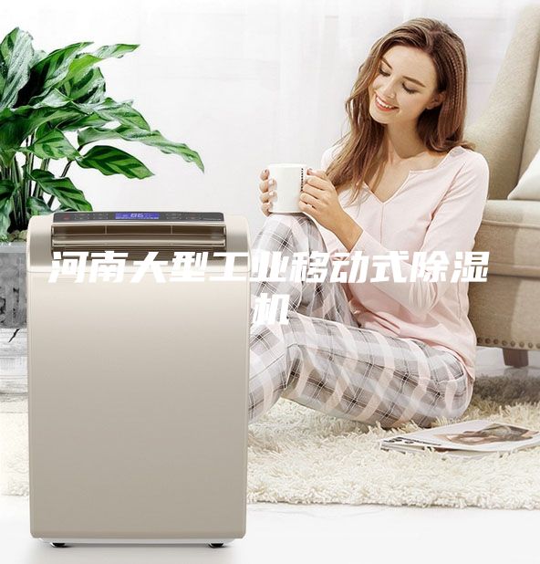 河南大型工業(yè)移動式除濕機(jī)