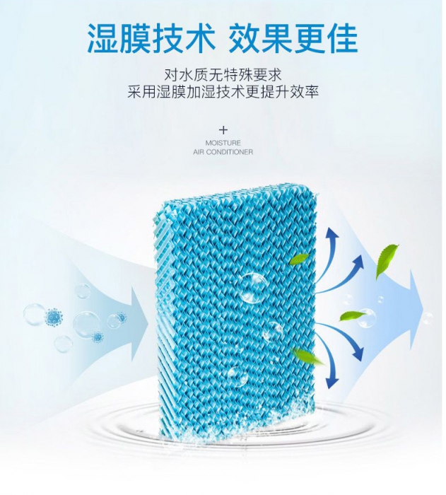 潮濕季，食材／貴重物品該防潮防霉防蟲，你不知道的秘密！