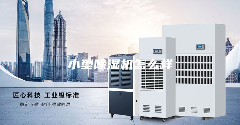 小型除濕機(jī)怎么樣