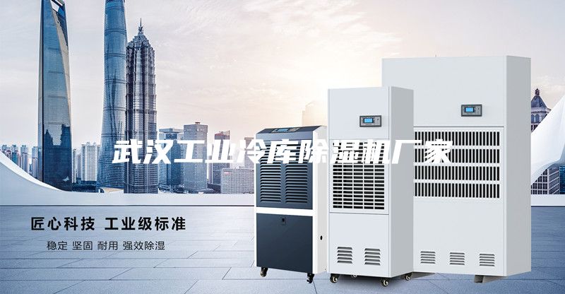 武漢工業(yè)冷庫(kù)除濕機(jī)廠家