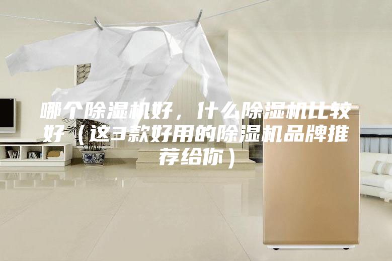 哪個除濕機(jī)好，什么除濕機(jī)比較好（這3款好用的除濕機(jī)品牌推薦給你）