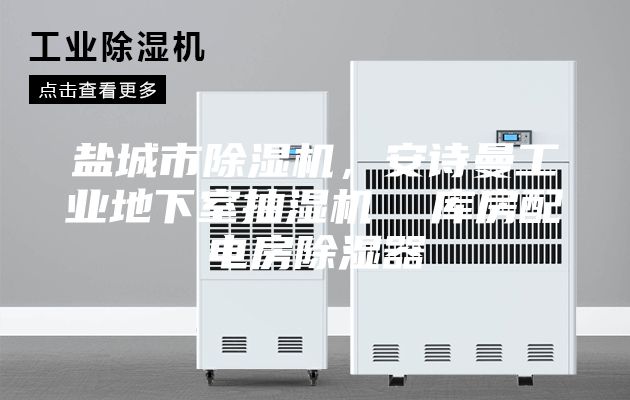 鹽城市除濕機(jī),安詩曼工業(yè)地下室抽濕機(jī) 庫房配電房除濕器