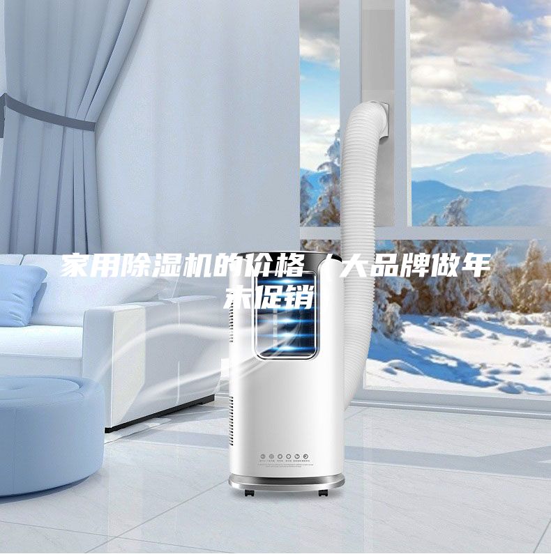 家用除濕機的價格（大品牌做年末促銷）