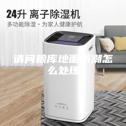 請(qǐng)問(wèn)糧庫(kù)地面防潮怎么處理