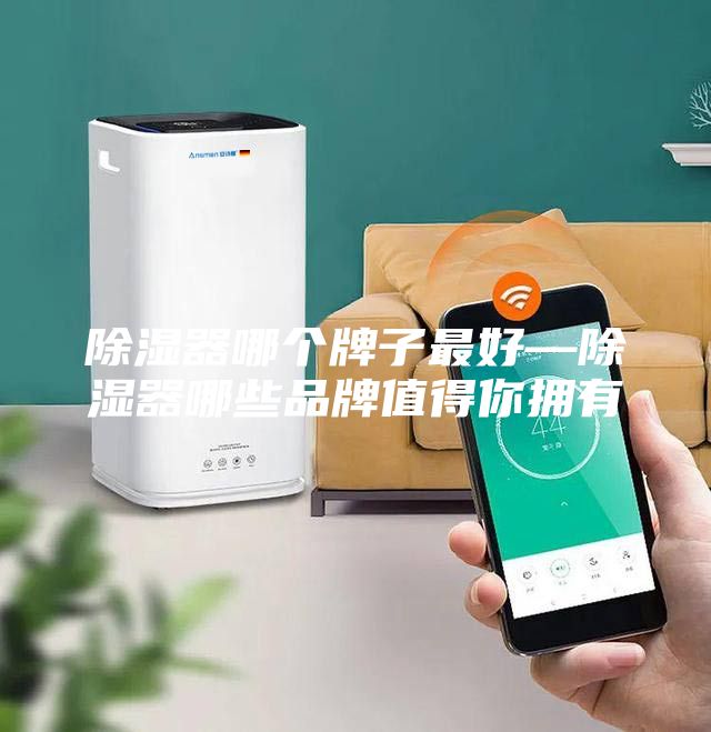 除濕器哪個牌子最好—除濕器哪些品牌值得你擁有