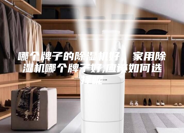 哪個牌子的除濕機好，家用除濕機哪個牌子好,應(yīng)該如何選擇呢