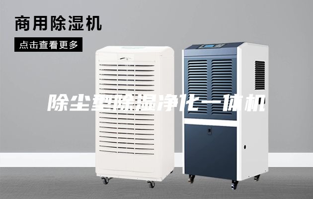 除塵型除濕凈化一體機(jī)