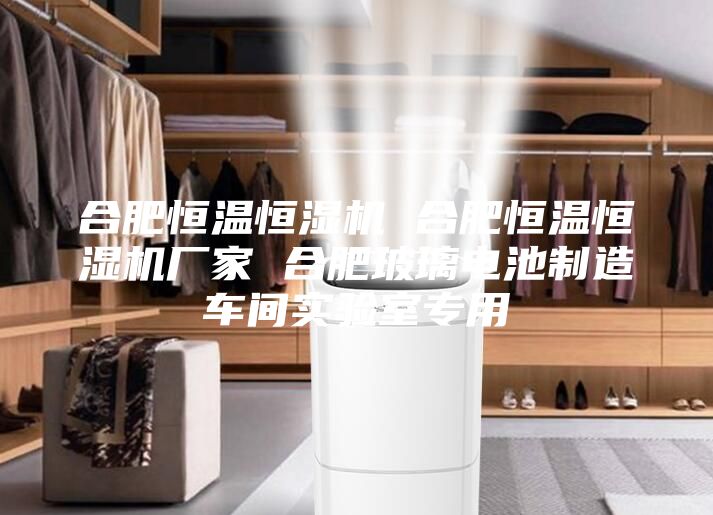 合肥恒溫恒濕機(jī) 合肥恒溫恒濕機(jī)廠家 合肥玻璃電池制造車間實(shí)驗(yàn)室專用