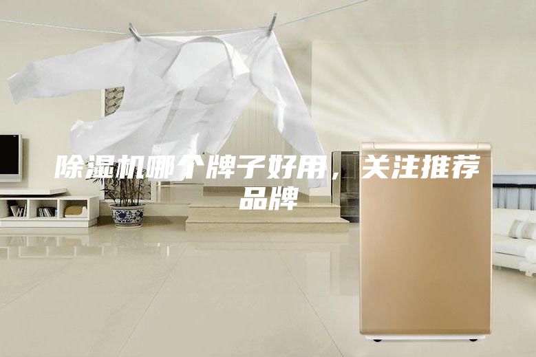 除濕機(jī)哪個(gè)牌子好用,關(guān)注推薦品牌