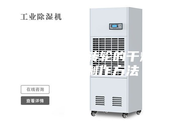 一種帶蜂巢轉(zhuǎn)輪的干燥除濕機的制作方法